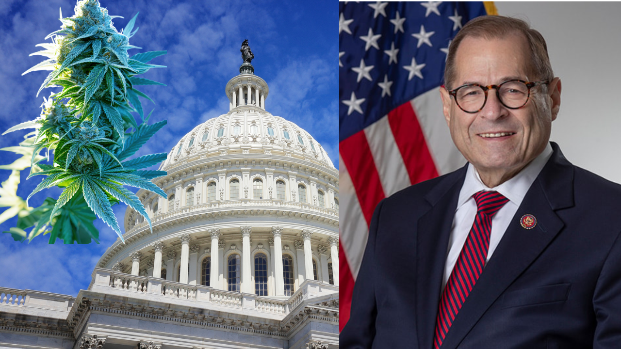 Cannabis Plant US Capital Jerry Nadler