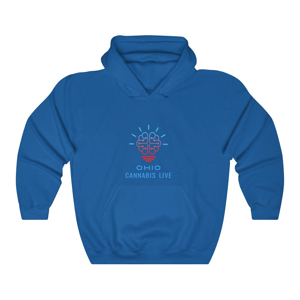 Thumbnail: Official OHC Live  Unisex Heavy Blend™ Hooded Sweatshirt