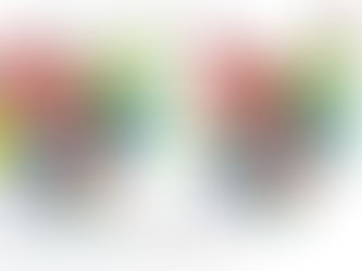 Breaking News Ohio Medical Marijuana Program approves 73 new licenses for Ohio MedicalDispensaries