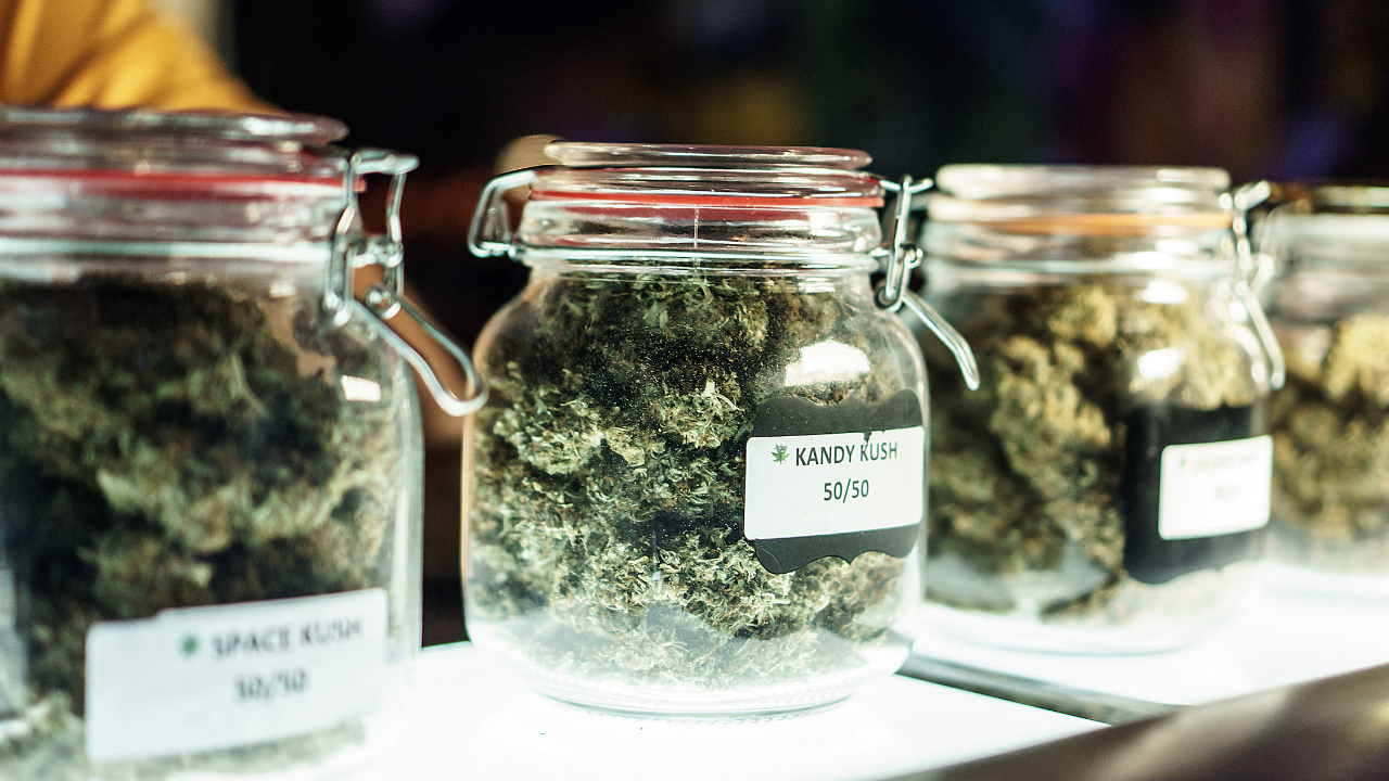 weed for sale in dispensary