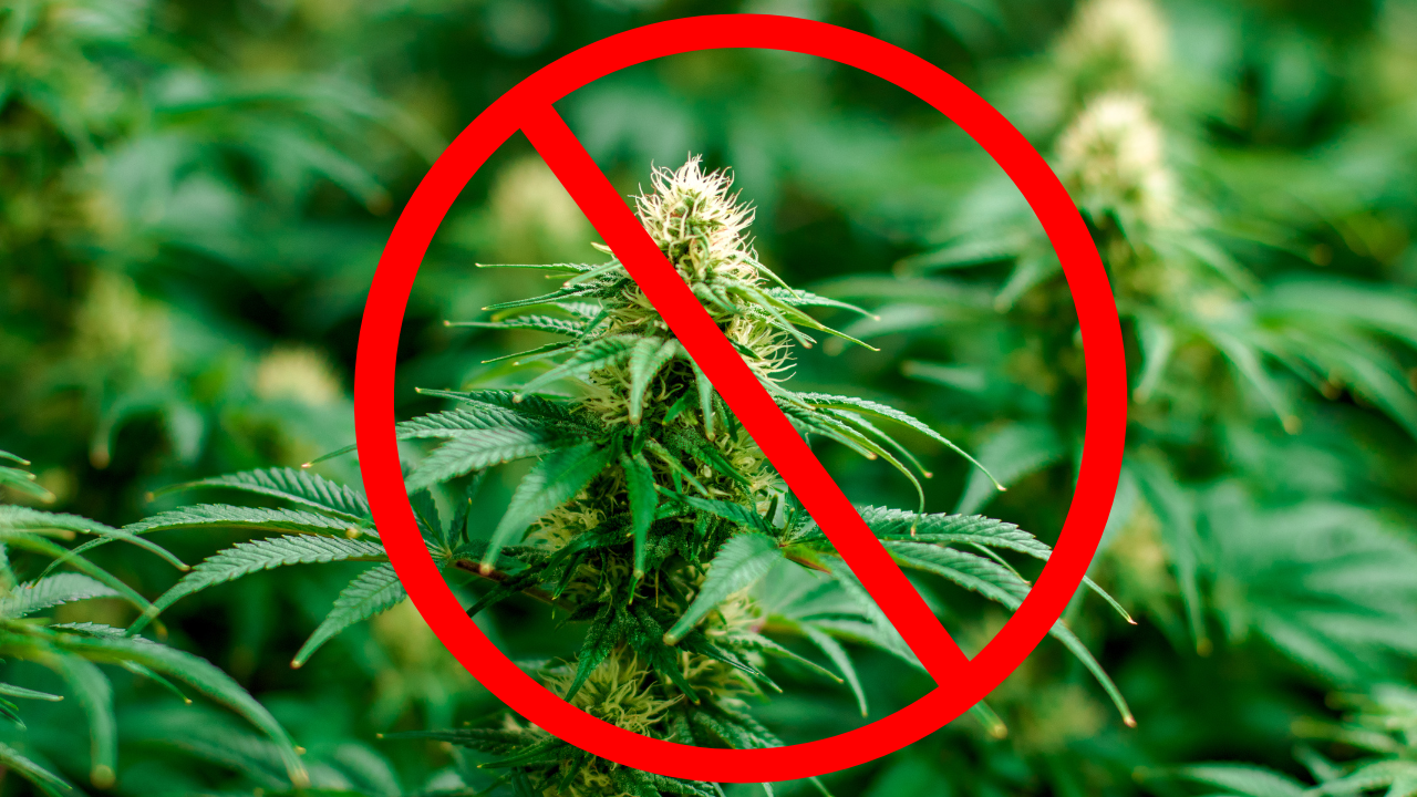 Featured image for Ohio Lawmakers Want to Make Cannabis Illegal Again