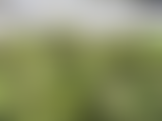 Over 121 Places in Ohio Ban Legal Cannabis — Here’s What You Need to Know