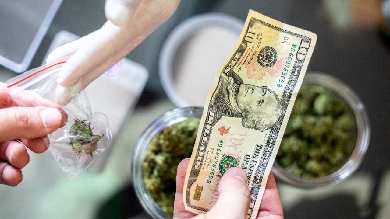 Featured image for Here’s How to Save Money on Cannabis in Ohio Before Thanksgiving: Green Wednesday Deals Explained