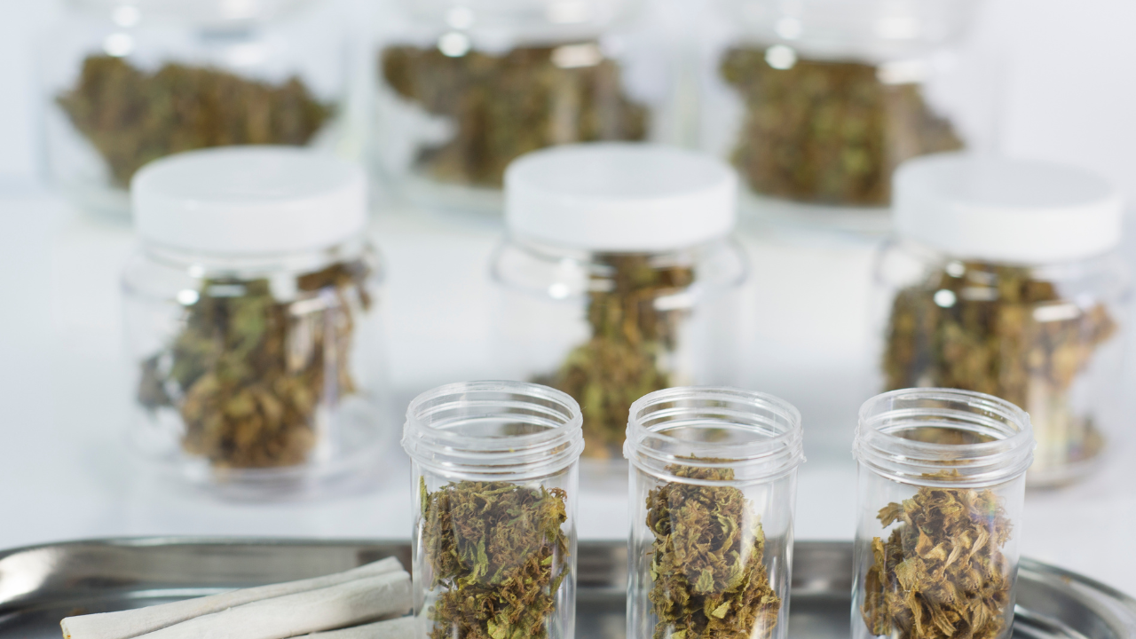 cannabis in jars