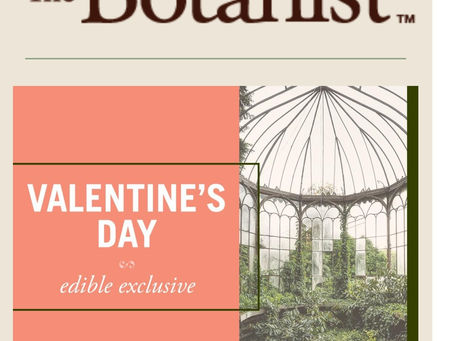 Valentine's deal at the botanist