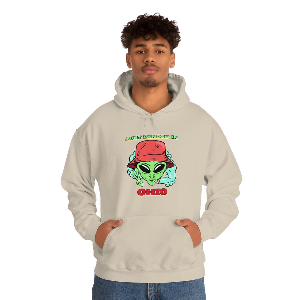 Thumbnail: Just Landed In Ohio Unisex Heavy Blend™ Hooded Sweatshirt