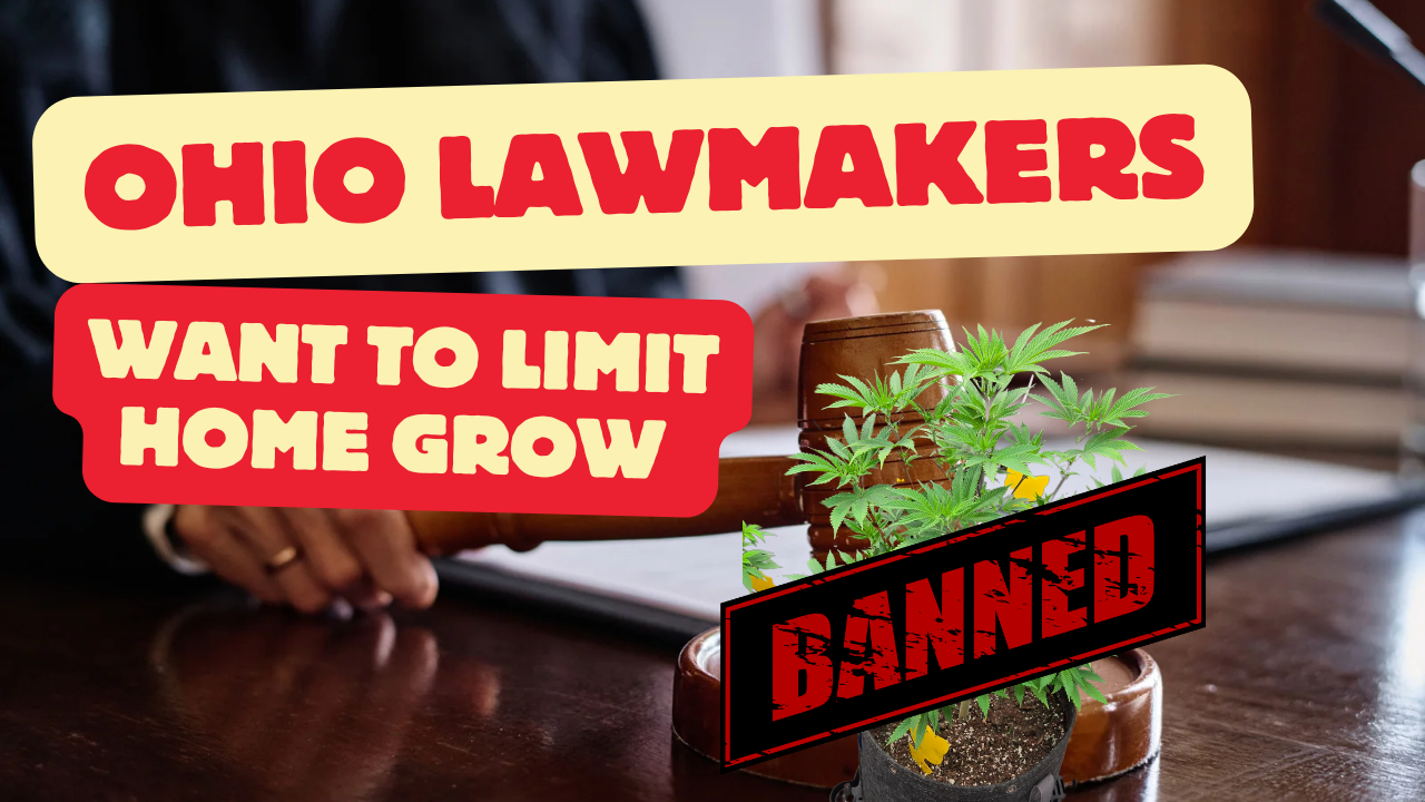 Featured image for New Ohio Bill SB 56 Could Restrict Cannabis Home Grow and Raise Taxes