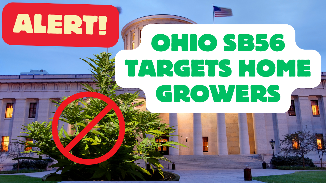 Featured image for Ohio Senate Bill 56 Targets Ohio Cannabis Home Growers – We Need to Act Now