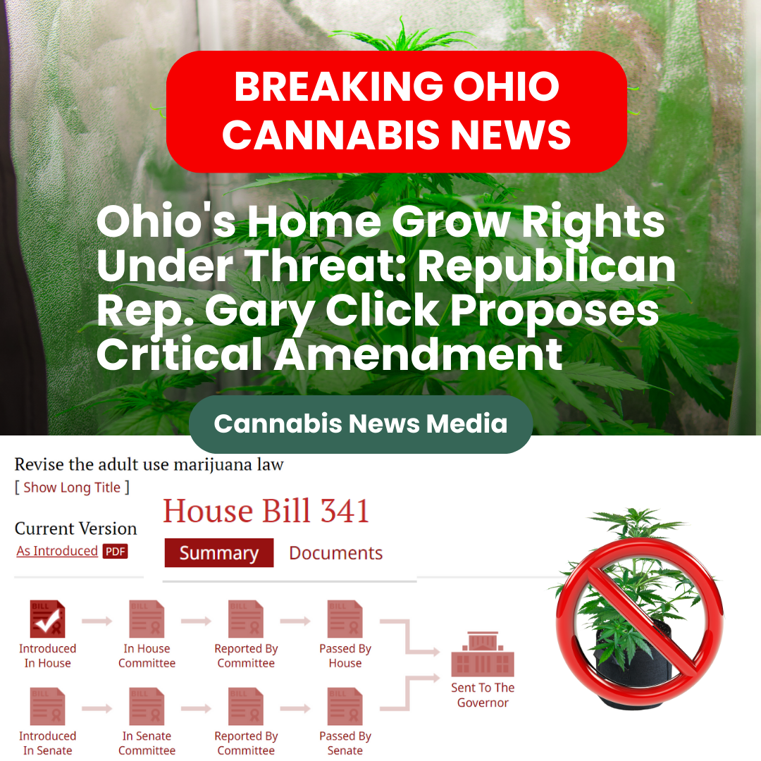 screen shot of amendment house bill 351