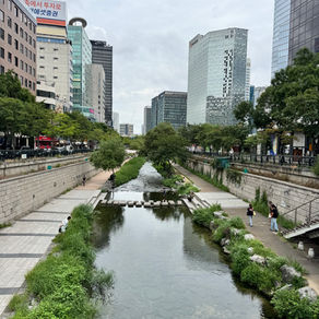 Seoul Again, and Then the Life