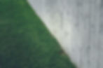Grass Lawn with Concrete Wall