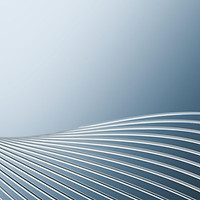 level 1