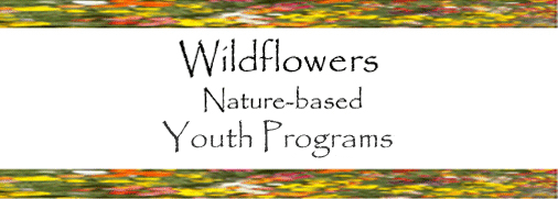 Wildflowers Nature School.gif