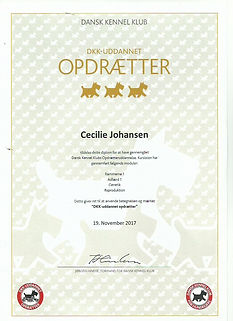 Opdrætter_bevis.jpeg
