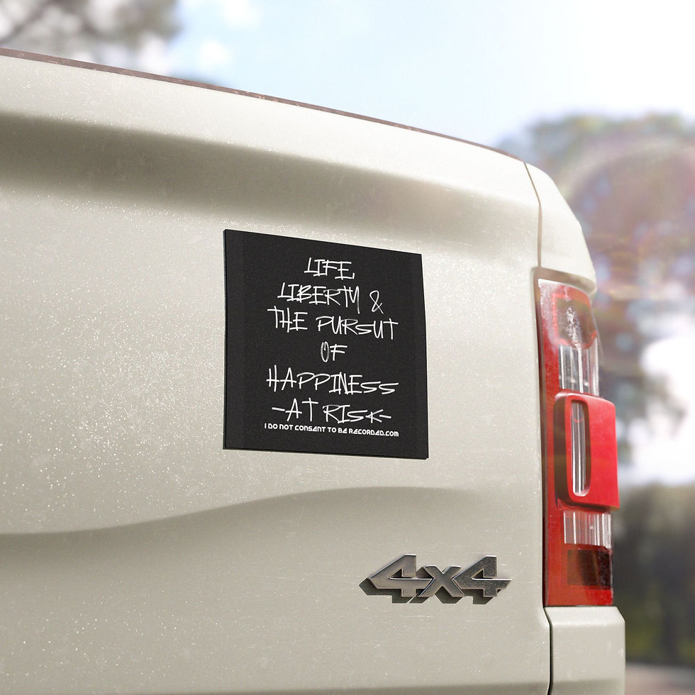 Thumbnail: Car Magnet — “Life, Liberty & The Pursuit of Happiness — At Risk” Magnet