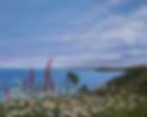 IMG_5898 coast web.JPG