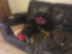 heat on a dogs back