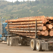 Sem nome (1200 x 1200 px) (2).png