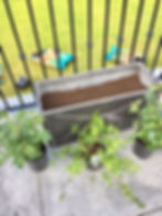 Ready to plant patio pot