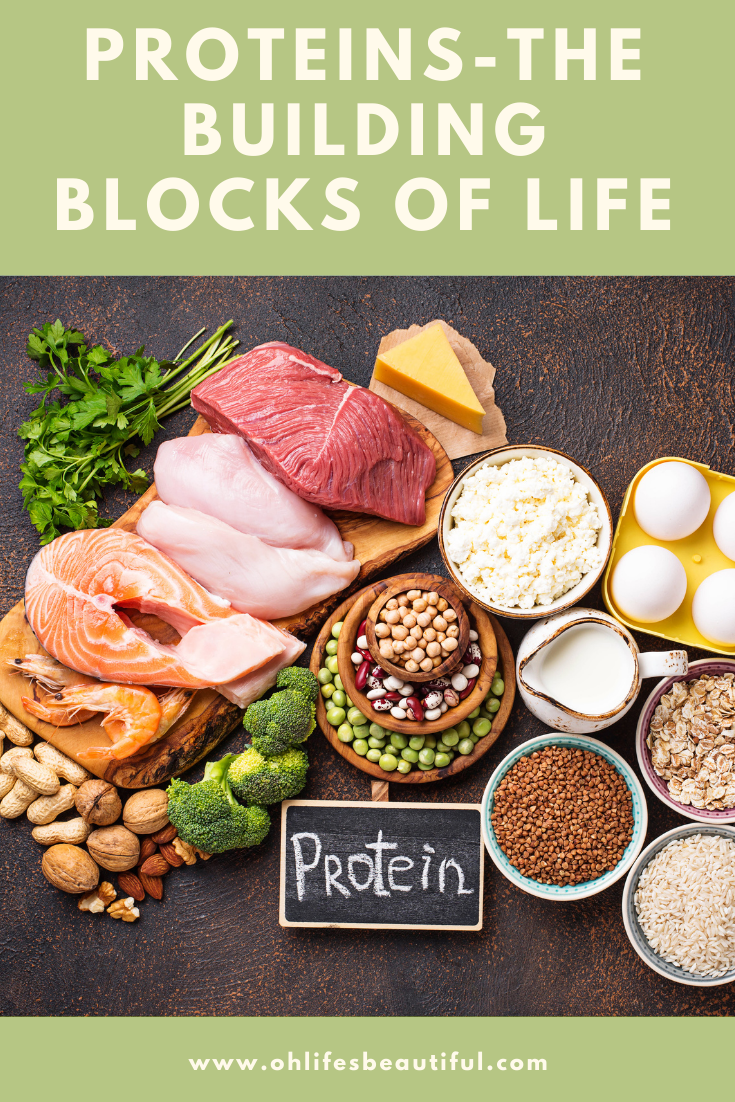 Sources of protein