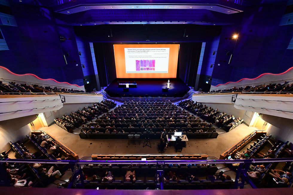 Leading lights to present plenary lectures at BEVA Congress
