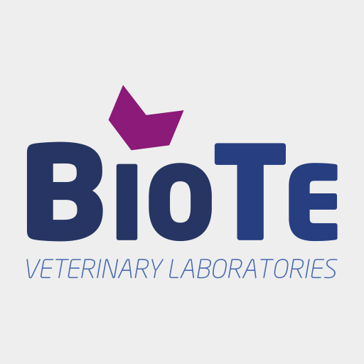 Writer: BioTe