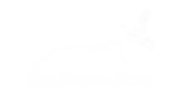 494577033_2175955029519114_6637738180002