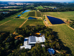 Woodlands from Above 2