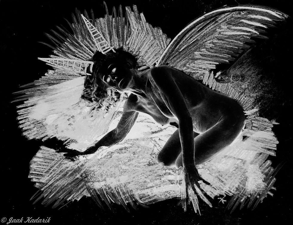 THE BLACK ANGEL