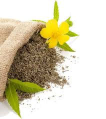 DAMIANA TINCTURE