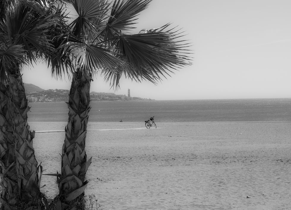 high end wall art interior decor, home decor wall art, фотография за интериорен дизайн, фотография за декор на дома, wall art