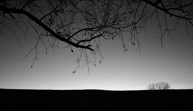 Fine Art Black and White Art Print Premium High-End Wall Art for home decor and interior design