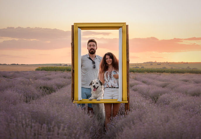 Портрет на куче на открито Премиум и висок клас фотография на кучета и домашни любимци в София България