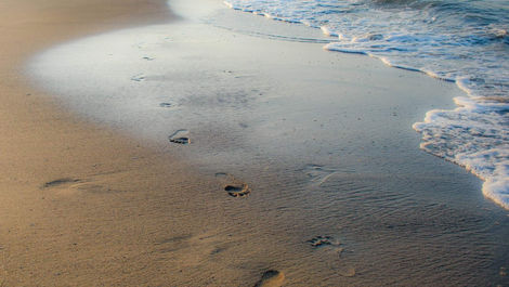 Andrea Djivanova luxury wall decor interior design интериорен декор Andrea Wolf Photography art prints home decor