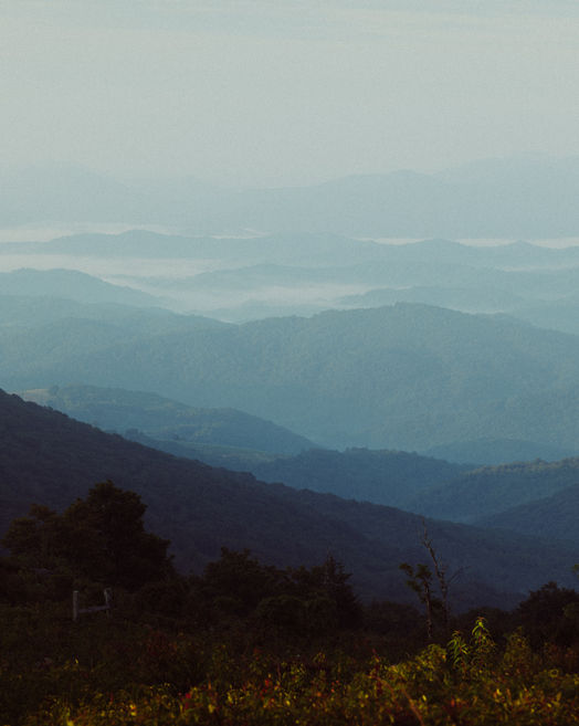 Web Use Mt. Rogers 2020-6.jpg