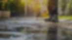 residential-high-pressure-and-soft-washing-services-from-prowash-360-scaled.jpg