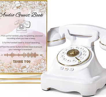 Audio Guest Book - Copy (1).jpg