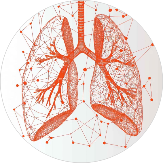 markets-lungs.png