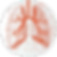 markets-lungs.png