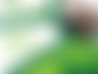 Potential Causes Why the Lost Nadra Card UK Application Is Deferred