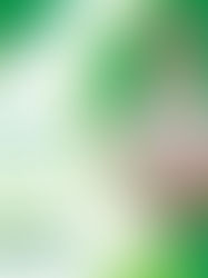 Lost Nadra Card All-inclusive Procedure and Reporting Directions