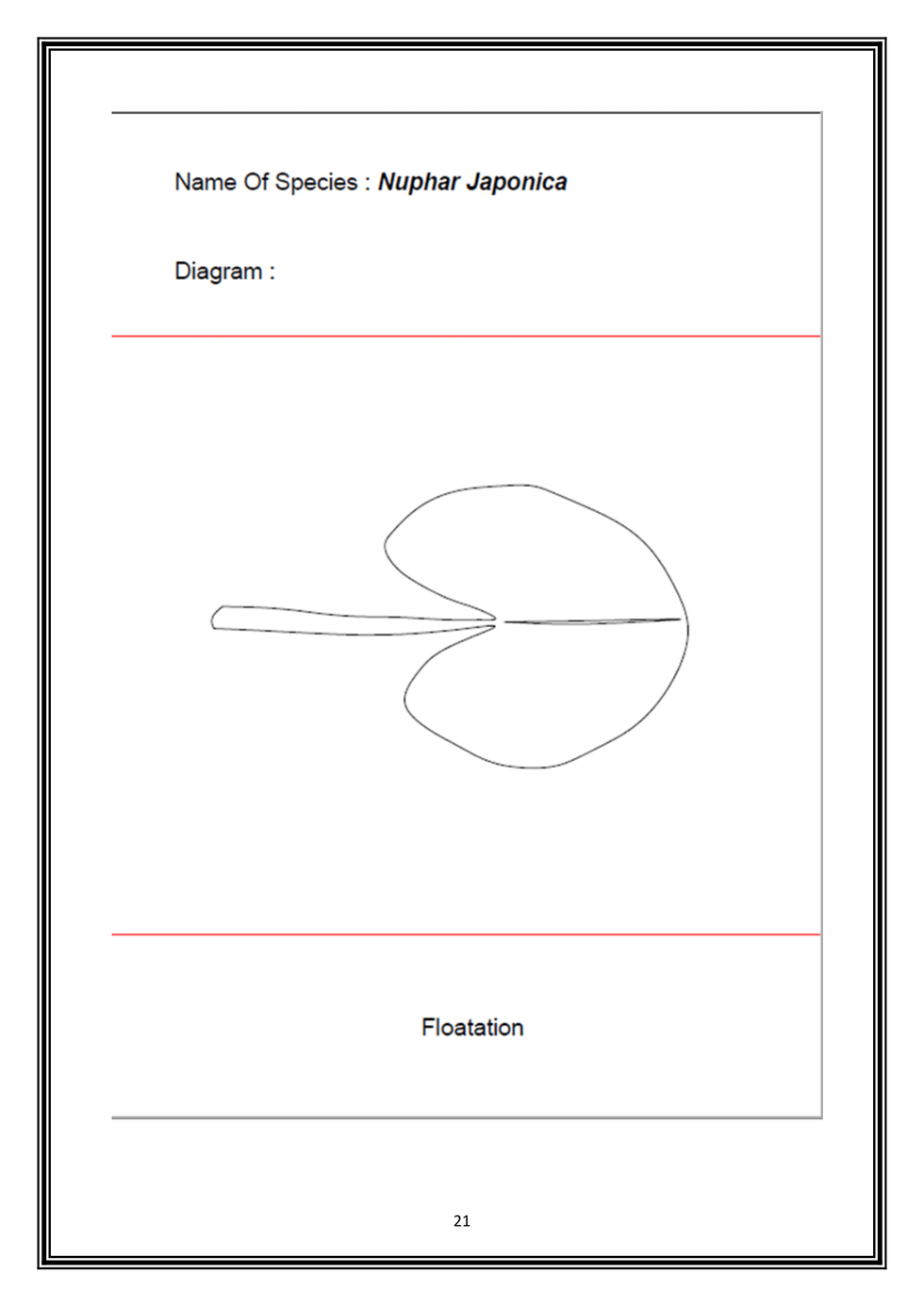 Lab Report 3 ( Plant Diversity ) Finalise-21