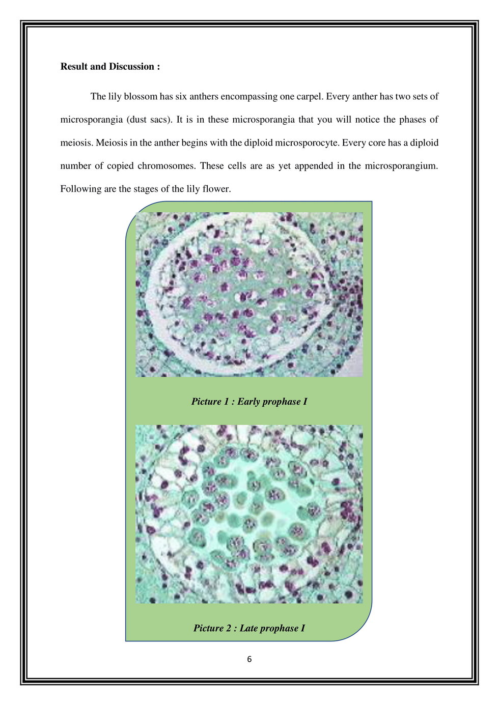 Lab Report Practical 1 ( Answer Genetics )-06