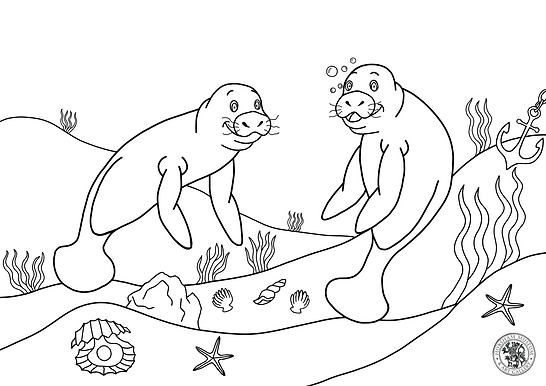 Manatees Colouring In