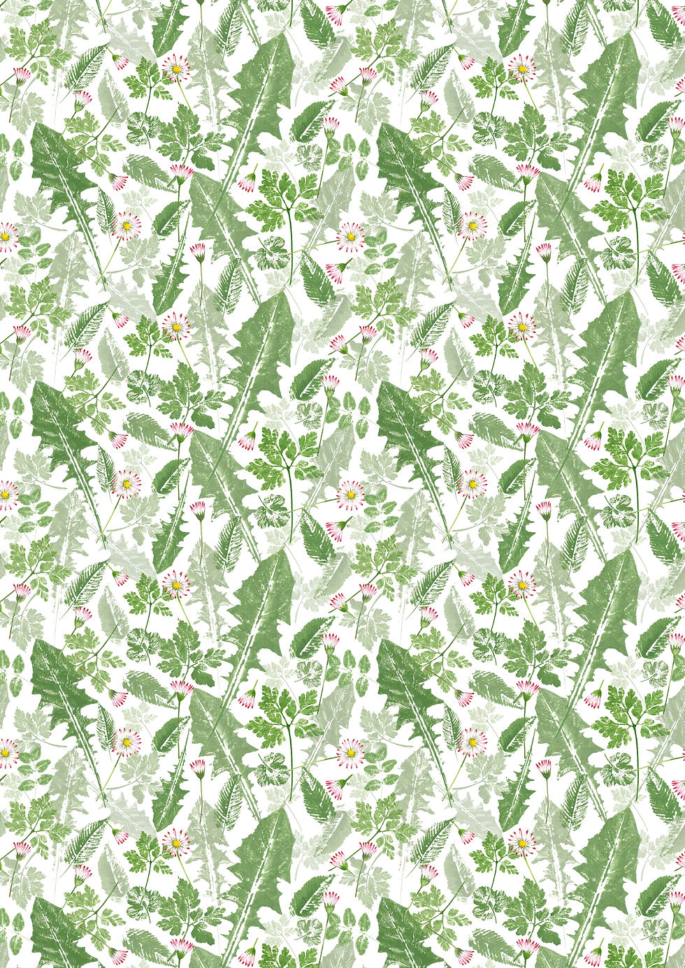 Löwenzahn und Bellis