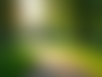 The Art of Seeing Beyond First Impressions