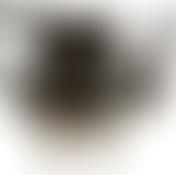 Artefacts and Taonga 2023 # 3