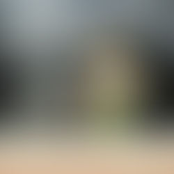 Desna's Prompt- Going on a Bear Hunt