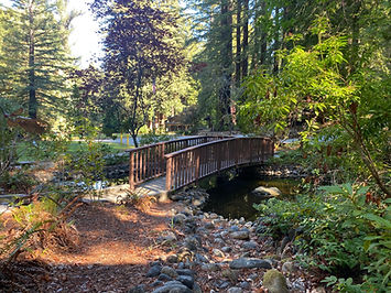 The Bridge