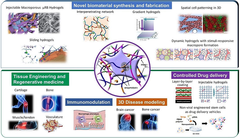 Yang lab research overview